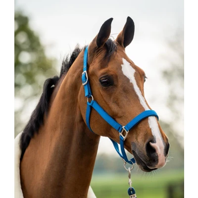 Image de HB Showtime Ensemble Licol Tropical Velvet Turkish Blue Cob