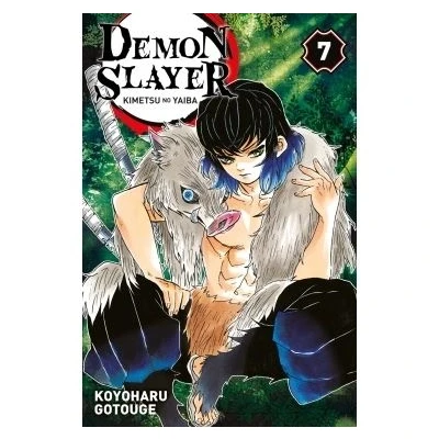 Image de Demon Slayer T07