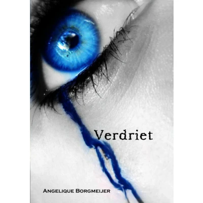 Afbeelding van Verdriet