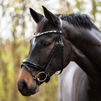 Image de Kavalkade Bridle Zora