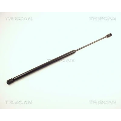Afbeelding van Triscan Gasveer 8710 24220