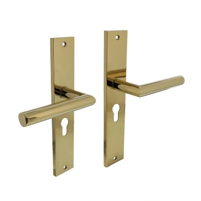 Afbeelding van Intersteel Deurkruk Bastian op schild 245x45 mm profielcilindergat 55 messing titaan PVD