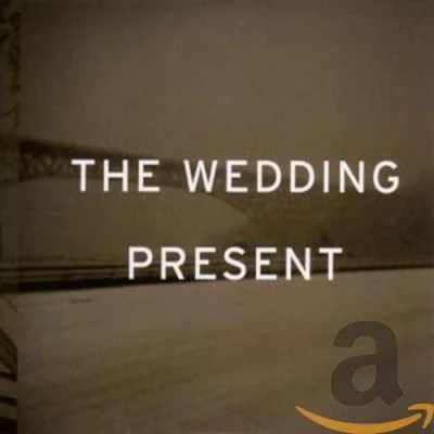 Afbeelding van Wedding Present Take Fountain (CD)