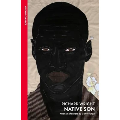 Afbeelding van Native Son
