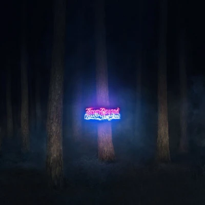 Afbeelding van From Beyond The Band (LP)