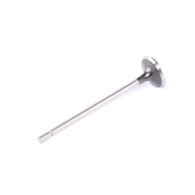 Afbeelding van Uitlaatklep FRECCIA R6030/R