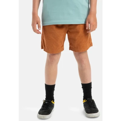 Afbeelding van Quiksilver Short enfant Taxer Cord pour garçon