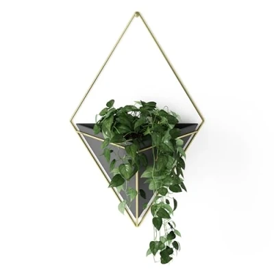 Image de Umbra Vase mural Trigg Noir