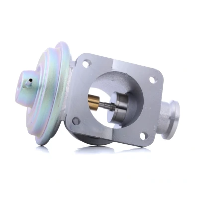 Afbeelding van DELPHI EG10464 12B1 EGR klep Zonder AGR koeler BMW: 3 Saloon, Compact, Touring