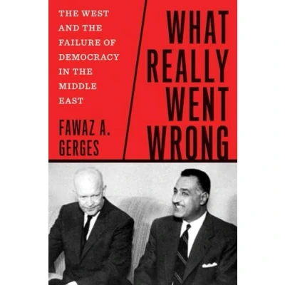 Afbeelding van What Really Went Wrong