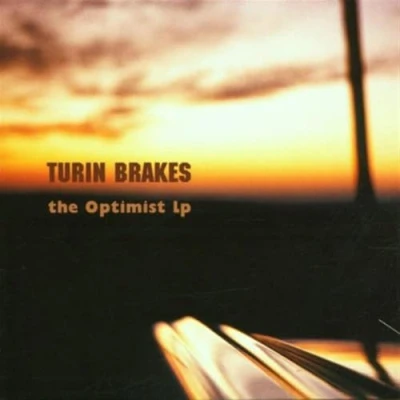 Afbeelding van The Optimist LP