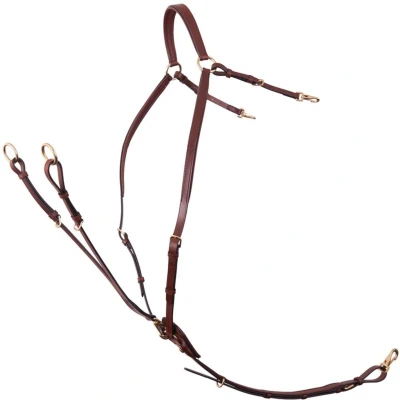 Afbeelding van BR Voortuig Rayleigh met Zadelriemen Tobacco Cob