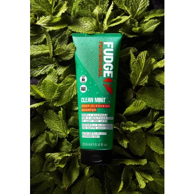 Afbeelding van Fudge Clean Mint Shampoo 250ml
