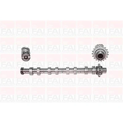 Afbeelding van FAI AutoParts C267 Nokkenas PEUGEOT: 407 SW, 3008 I, Partner I Combispace, CITROËN: Berlingo II Van, II, C4 Grand Picasso, MINI: Hatchback
