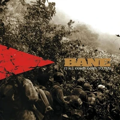 Afbeelding van Bane It All Comes Down To This (LP)