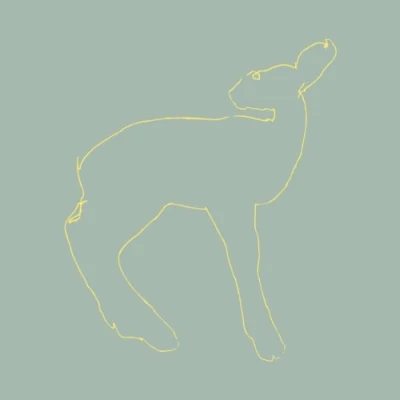 Afbeelding van Songs: Ohia Hecla &amp; Griper