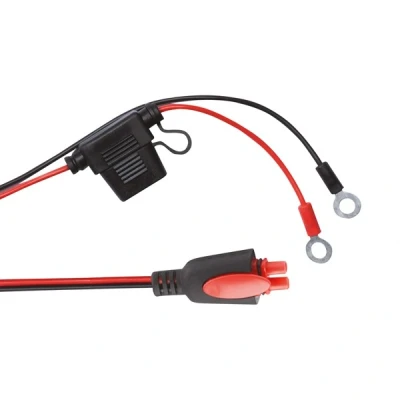 Afbeelding van Carpoint Acculader Intelligent 3,5A 6 12V 0635221