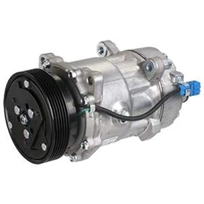 Afbeelding van DELPHI TSP0159058 AC Compressor Sanden SD7V16 PAG 46 Met compressorolie SEAT: Alhambra I, Toledo 2 Limousine, VOLKSWAGEN: Sharan VAN, GOLF 3