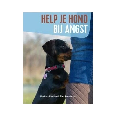 Image de Help je hond bij angst