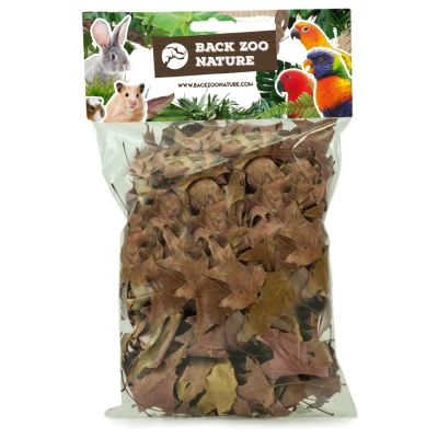 Afbeelding van Back Zoo Nature Discovery Leaves Natuurlijk Speelgoed ca. 35 tot 50 g