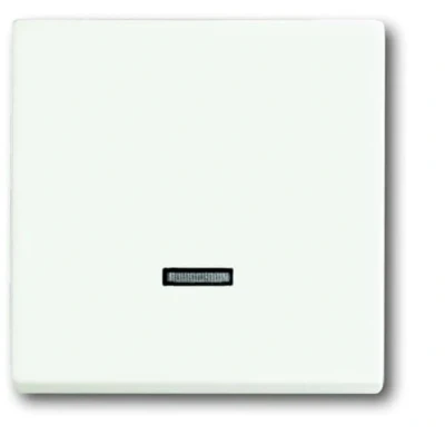 Afbeelding van ABB Busch Jaeger Toekomstig Schakelelement/Centrale Plaat 2CKA006599A2963 E2Q9R