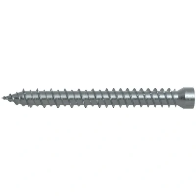 Afbeelding van fischer kozijnschroef FFSZ 7.5x62 mm Torx T30 100 st 532907