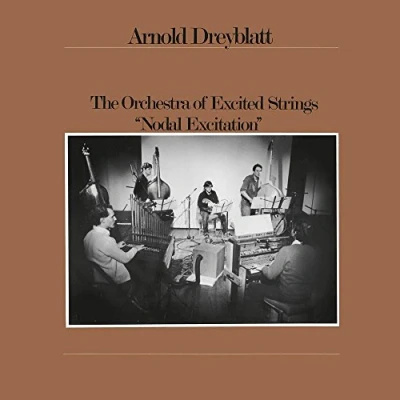 Afbeelding van Arnold Dreyblatt Nodal Excitation