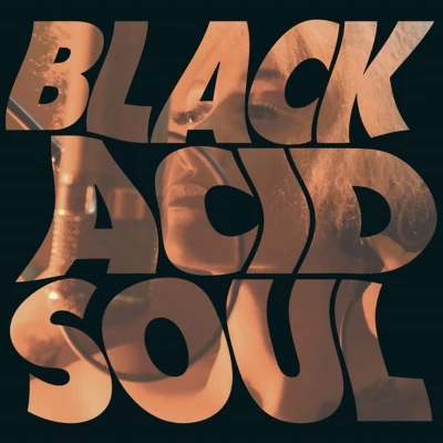 Afbeelding van Lady Blackbird Black Acid Soul (LP)