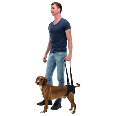 Afbeelding van Trixie Loophulp Hondenhulpmiddelen 85 95 cm Zwart Xl