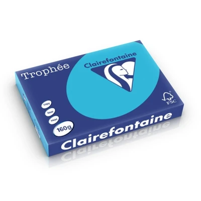 Image de Pack de 25 cartes Pollen 82 x 128 mm Vert Bourgeon