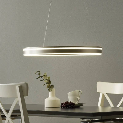 Afbeelding van Paul Neuhaus Q VITO LED hanglamp 59cm staal
