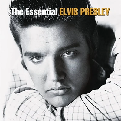 Afbeelding van Elvis Presley The Essential (2 LPs)