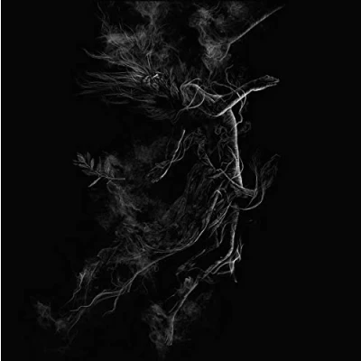 Afbeelding van Jarboe Illusory (CD)