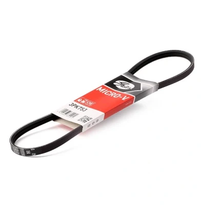 Afbeelding van Gates Poly V riem 3PK753