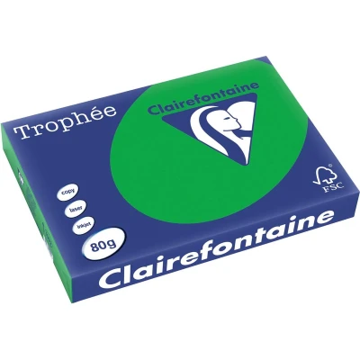 Afbeelding van Clairefontaine Trophée Intens, gekleurd papier, A3, 80 g, 500 vel, bijartgroen papier