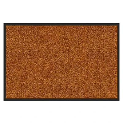 Afbeelding van etm Premium deurmat getest op schadelijke stoffen bewezen entreemat in de handel en het huishouden vuilvangmat met superieure reinigende werking schone trapmat wasbaar antislip (120 x 300 cm, bruin)
