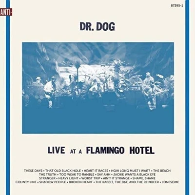 Afbeelding van Dr. Dog Live At A Flamingo Hotel (2 LP)
