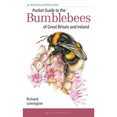 Afbeelding van Bloomsbury Wildlife Guides Pocket Guide to the Bumblebees of Great Britain and Ireland