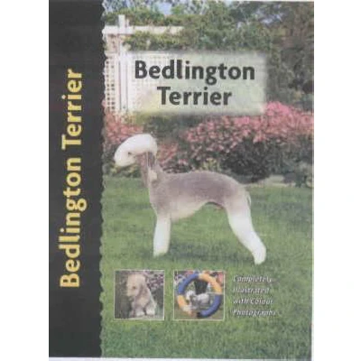Afbeelding van Bedlington Terrier