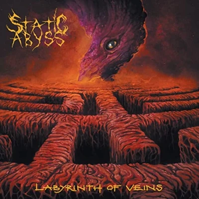 Afbeelding van Labyrinth of Veins