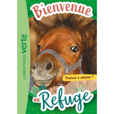 Image de Bienvenue au refuge 03 Poulain à adopter !