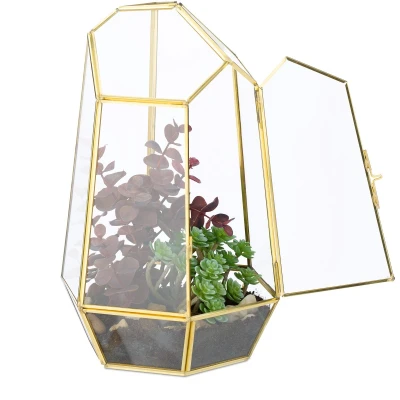 Afbeelding van planten terrarium 26x18x15 cm glas vensterbank goud