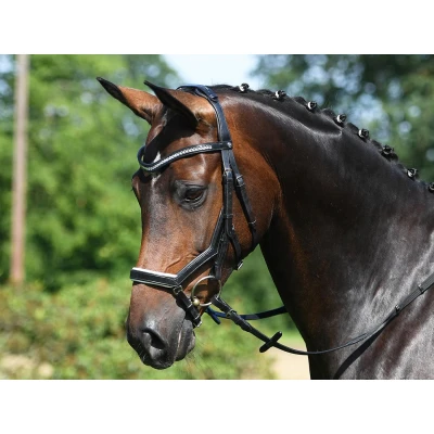 Image de Busse bridle Modena