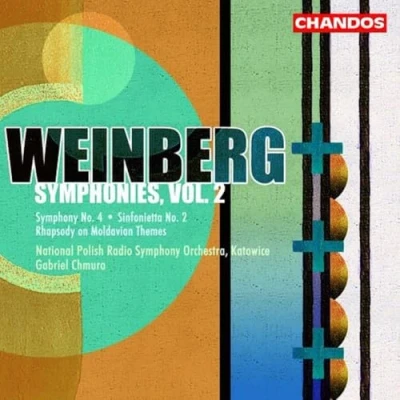Afbeelding van Polish National Radio Symphony Orch Symphonies Vol 2 (CD)