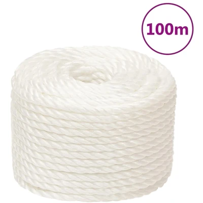 Afbeelding van vidaXL Werktouw 16 mm 100 m polypropeen wit