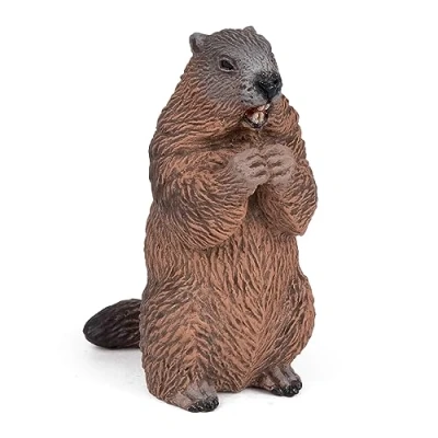 Image de Marmotte