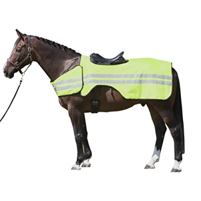 Afbeelding van Harry&#039;s Horse Uitrijdeken Reflective S Kleurloos