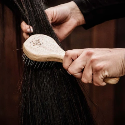 Image de Kentucky Brosse à crin