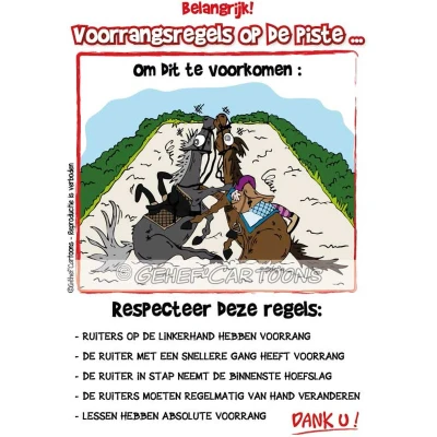 Afbeelding van HB Stalplaat Rijbak Regels