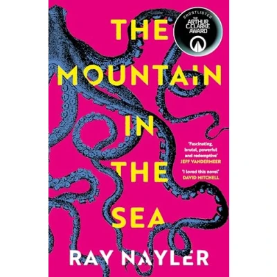 Afbeelding van the Mountain in Sea